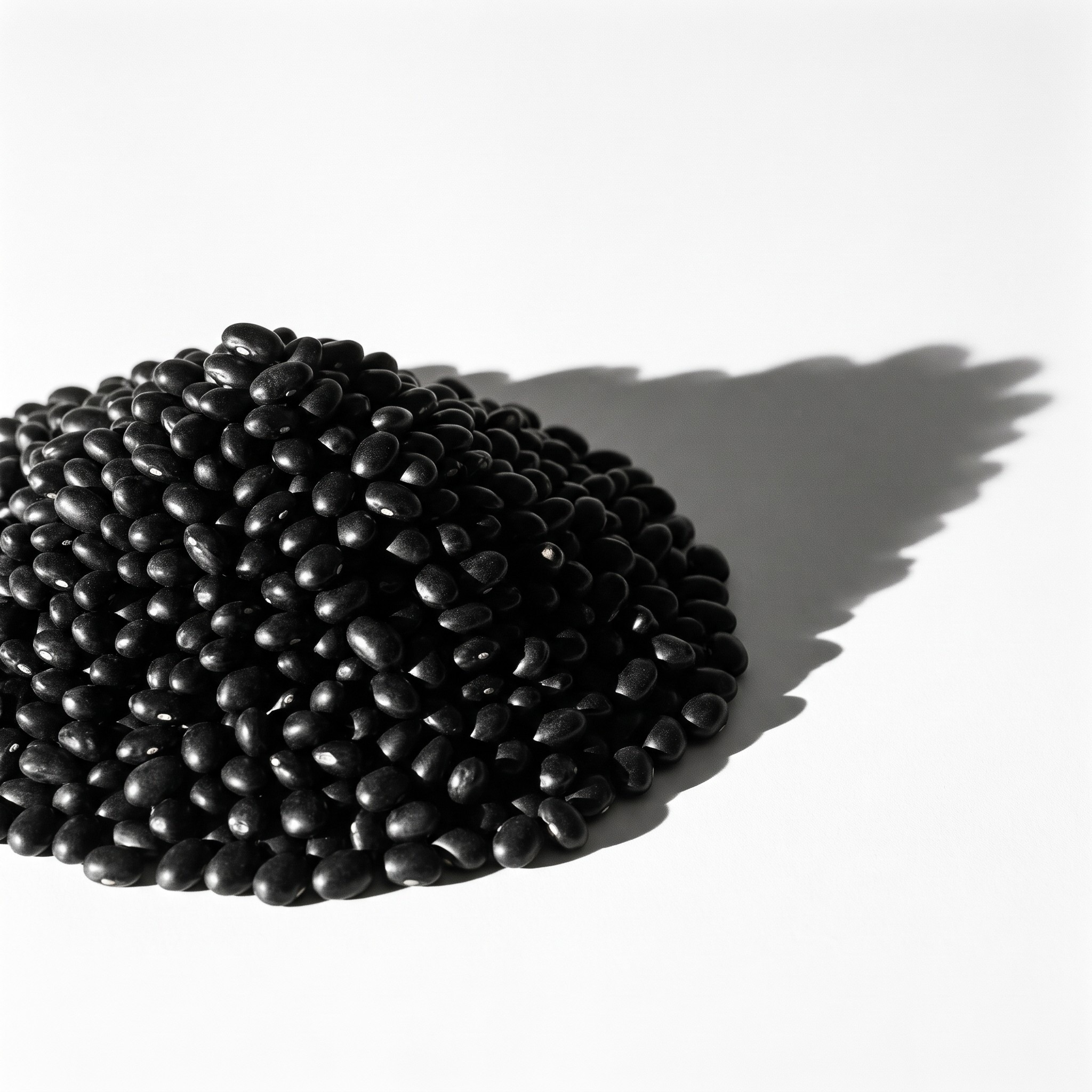 Frijol negro